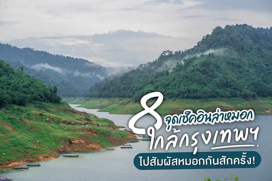 AW_56750631_200818_1.900