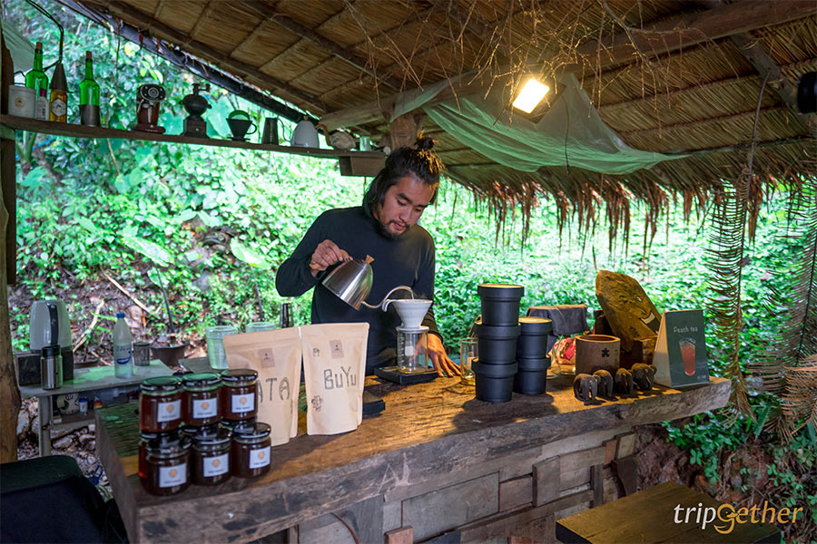 6 คาเฟ่ดอยช้าง เชียงราย