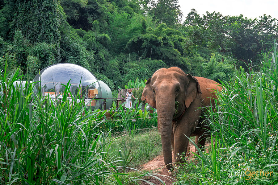 อัปเดต 2020 | 12 ที่พักเชียงราย บรรยากาศดีต่อใจ ที่หนาวนี้ไม่ควรพลาด!!