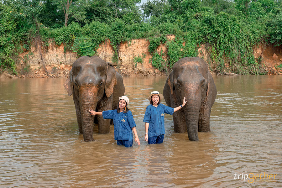 อัปเดต 2020 | 12 ที่พักเชียงราย บรรยากาศดีต่อใจ ที่หนาวนี้ไม่ควรพลาด!!