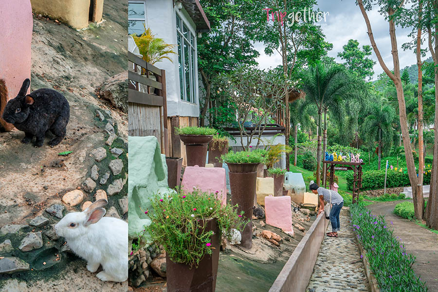 Aomkodkhunkhao_98-02