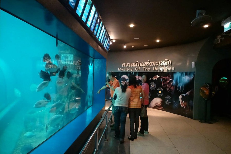 Aquarium_1