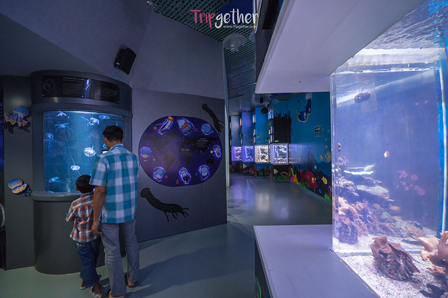 Aquarius_Bangseang-44