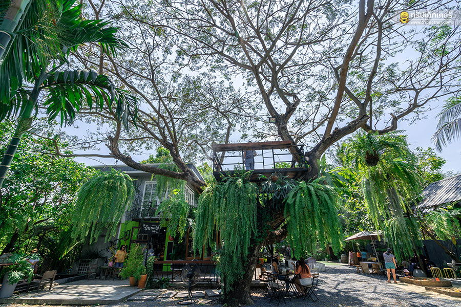 Baan_1000_mai_cafe-1