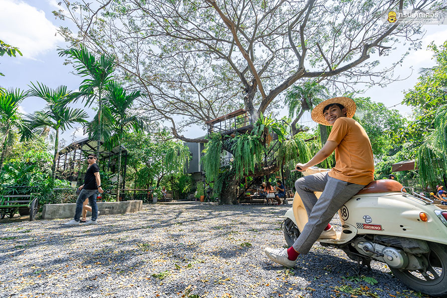 Baan_1000_mai_cafe-1