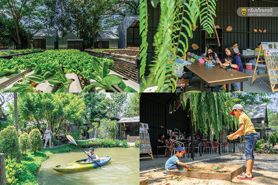 Baan_1000_mai_cafe-1