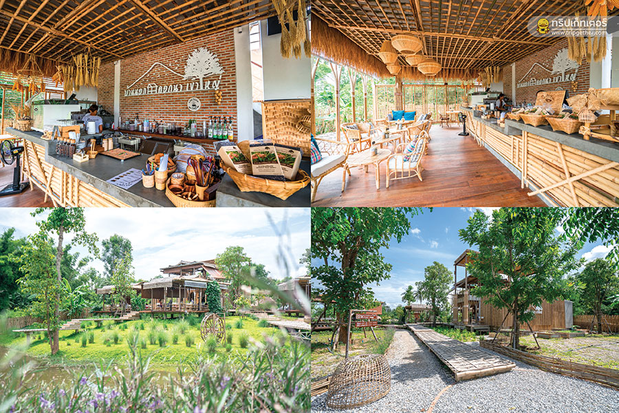 30 คาเฟ่เขาใหญ่ - วังน้ำเขียว - ปากช่องต้องแวะเช็คอิน!