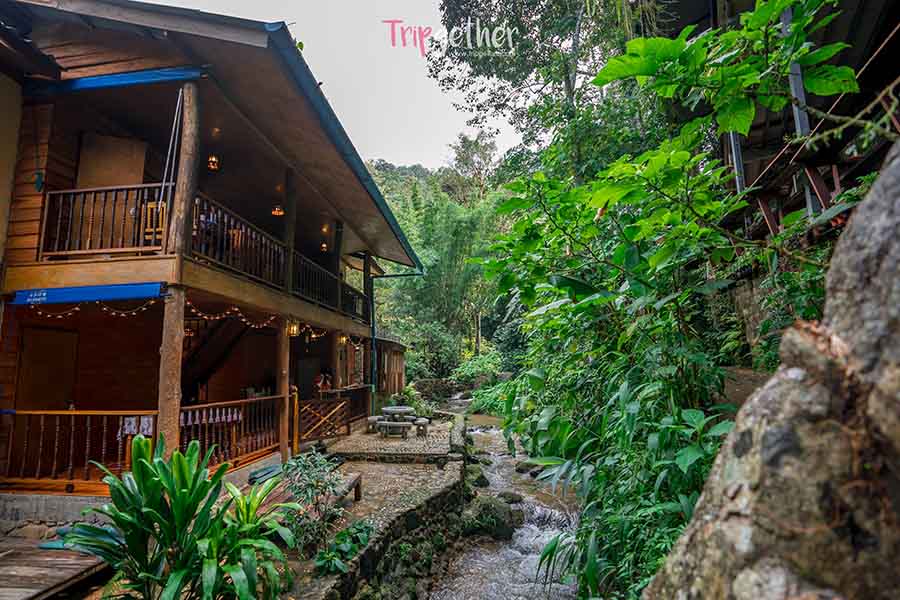 Baanrimnambaifern_19