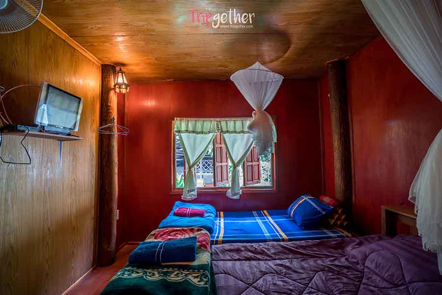 Baanrimnambaifern_19