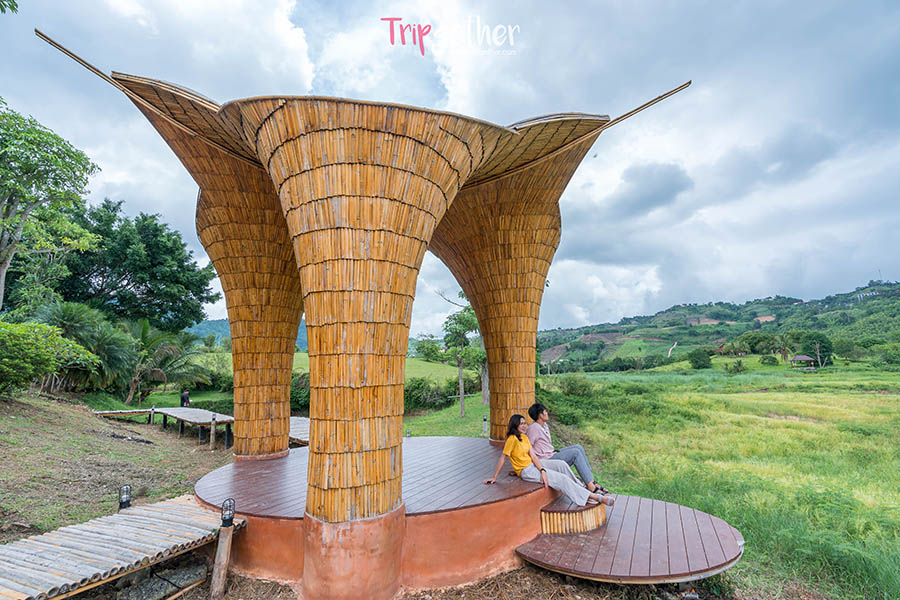 9 ที่พักเขาค้อ จัดเต็มครบทุกวิว ชิลล์ครบทุกบรรยากาศ