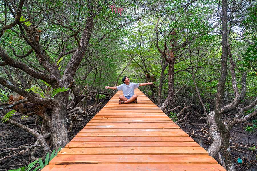 Ban_Na_Nai_mangrove_forest-7