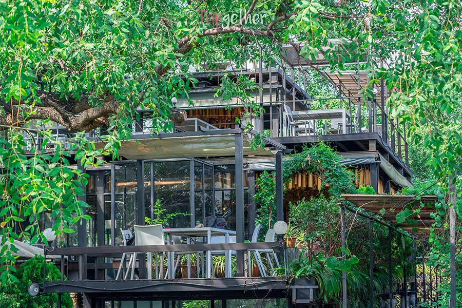 Bangkok_Tree_House-26