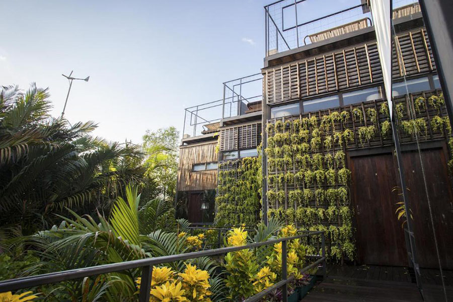 Bangkok_Tree_House01