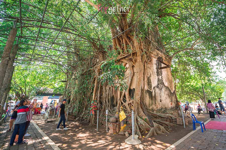 Bangkungtemple_6