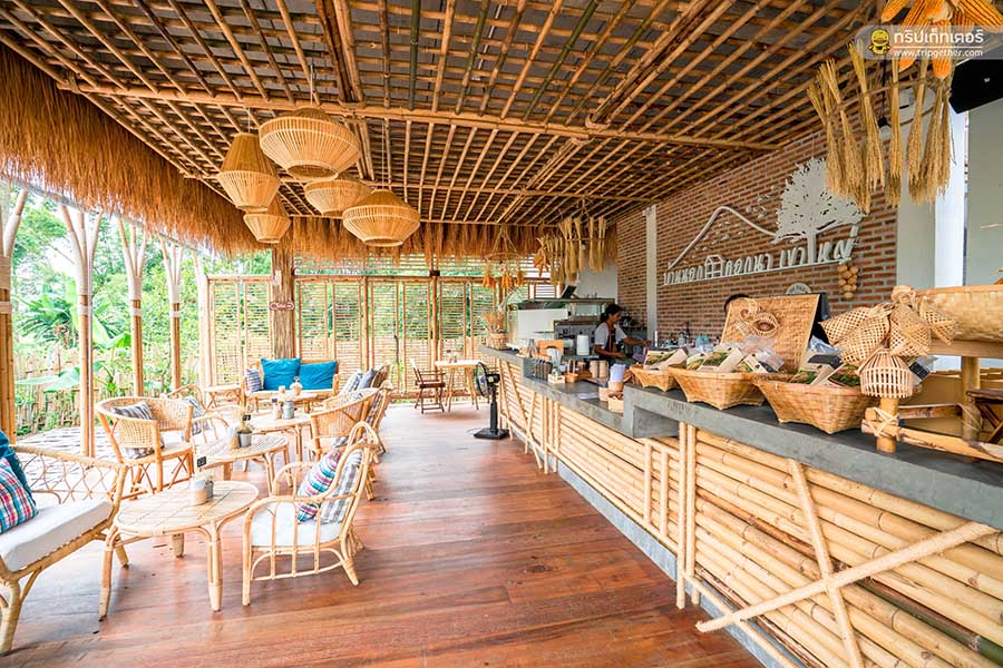 5 ที่พักฟาร์มสเตย์เขาใหญ่ Back To Basic ใช้ชีวิตแบบเรียบง่าย