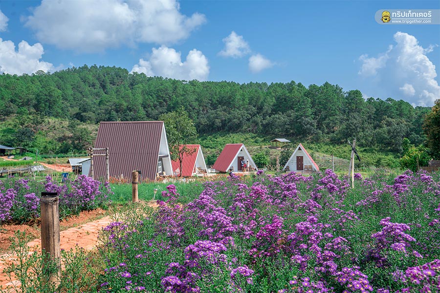 10 ที่พักเชียงใหม่ใกล้ขุนเขา นอนฟินชุ่มฉ่ำในหน้าฝน