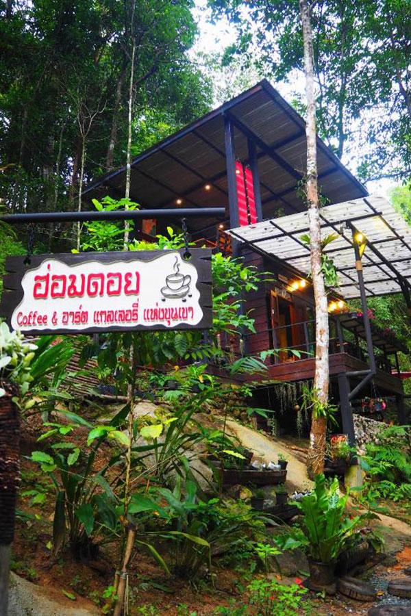 6 คาเฟ่เชียงใหม่นั่งชมวิวสวยท่ามกลางธรรมชาติสุดร่มรื่น แถมมุมถ่ายรูปสวยปัง!!