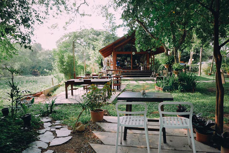 6 คาเฟ่เชียงใหม่นั่งชมวิวสวยท่ามกลางธรรมชาติสุดร่มรื่น แถมมุมถ่ายรูปสวยปัง!!