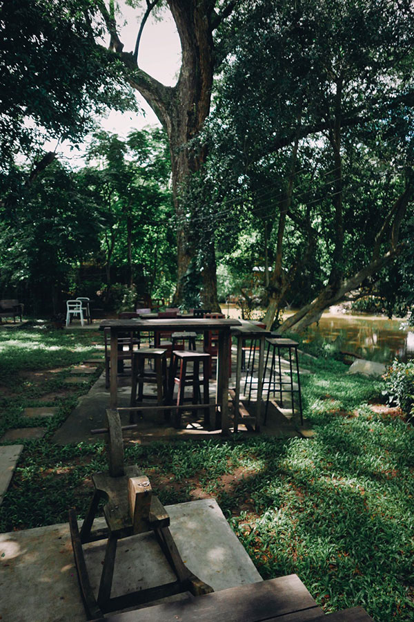 6 คาเฟ่เชียงใหม่นั่งชมวิวสวยท่ามกลางธรรมชาติสุดร่มรื่น แถมมุมถ่ายรูปสวยปัง!!