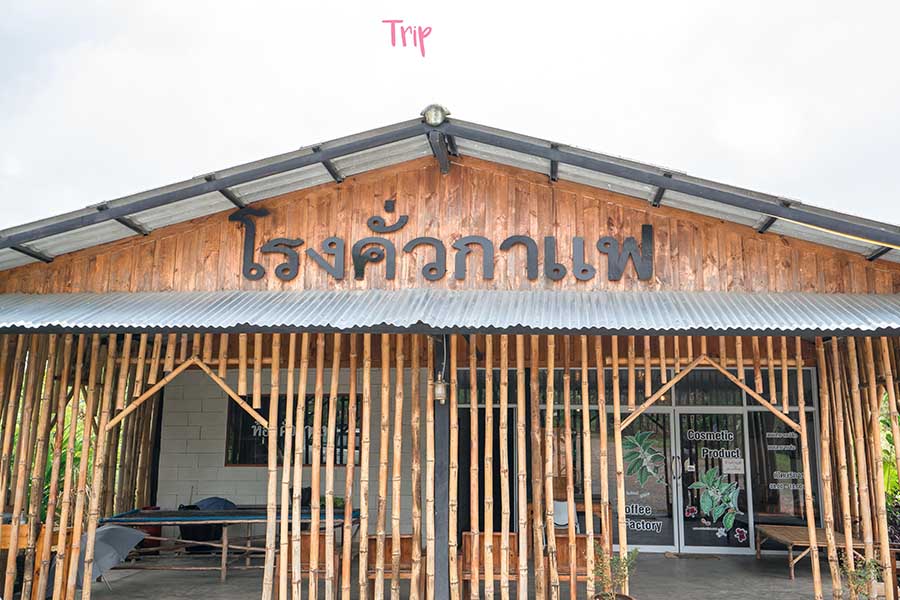 Coffeewangnamkeaw17-22