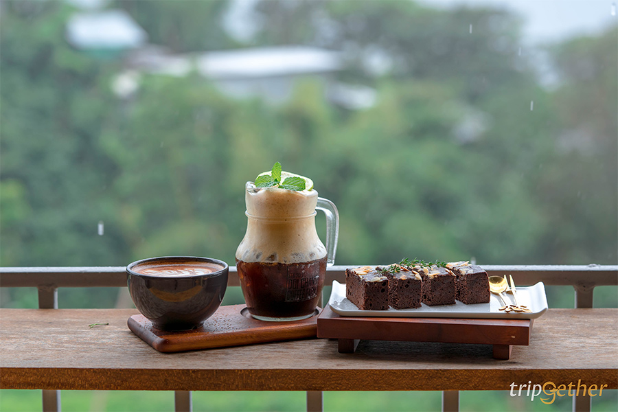 DOICHANGCoffeeFARM-1