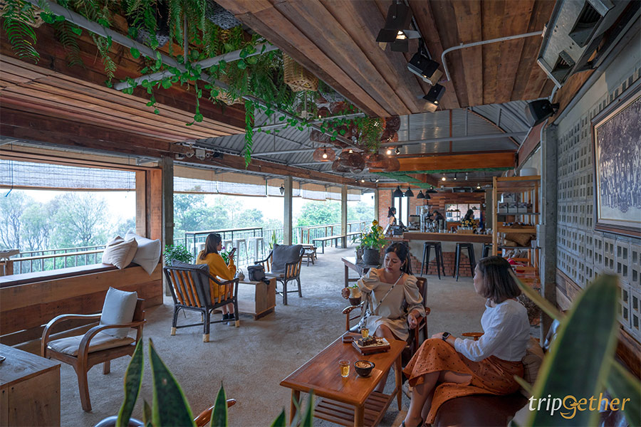 DOICHANGCoffeeFARM-1