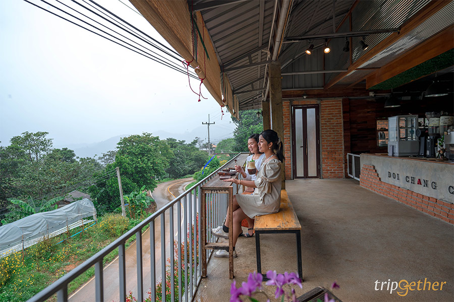 DOICHANGCoffeeFARM-1