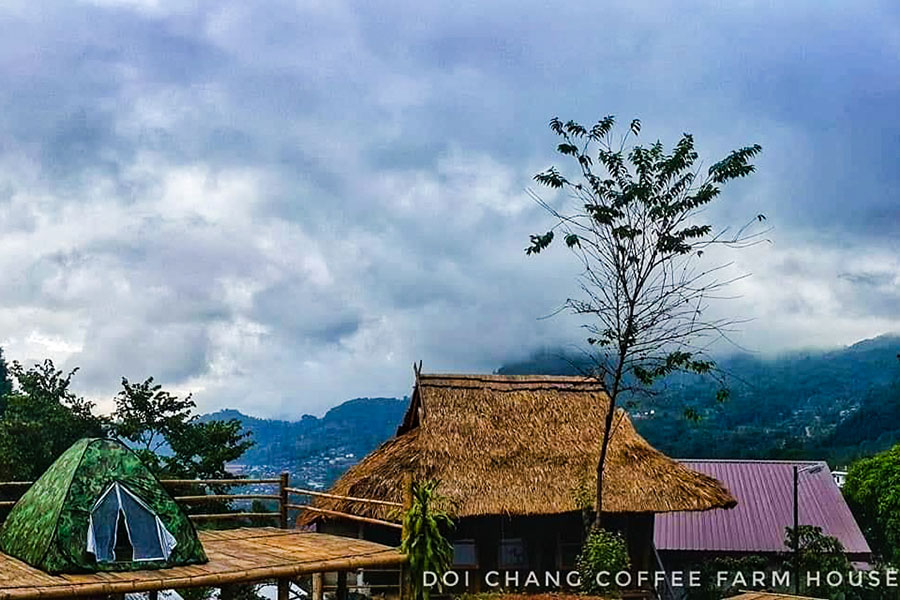Doi Chang coffee farm house2-2