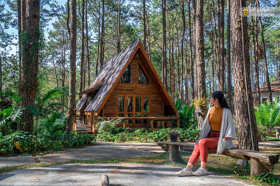 10 ที่พักเชียงใหม่ใกล้ขุนเขา นอนฟินชุ่มฉ่ำในหน้าฝน