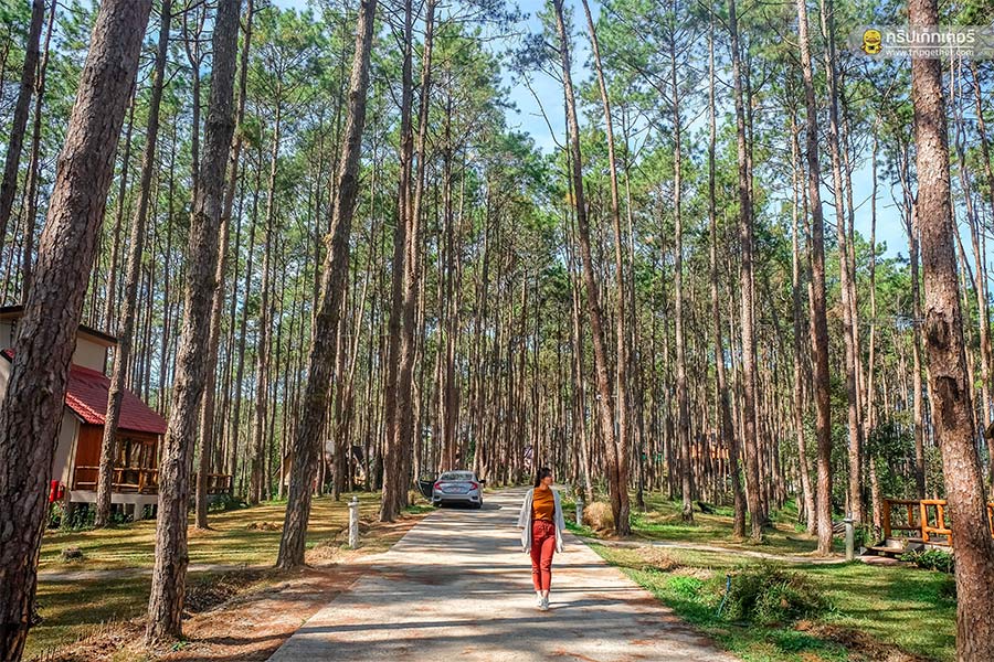 10 ที่พักเชียงใหม่ใกล้ขุนเขา นอนฟินชุ่มฉ่ำในหน้าฝน