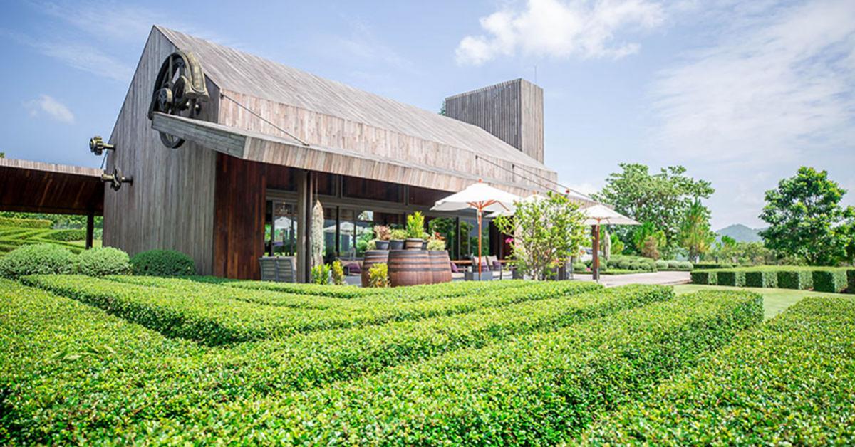 ภิรมย์คาเฟ่ เขาใหญ่ คาเฟ่น่านั่งบรรยากาศชิลล์ มีดีที่สวนองุ่นและวิวทะเลสาบ