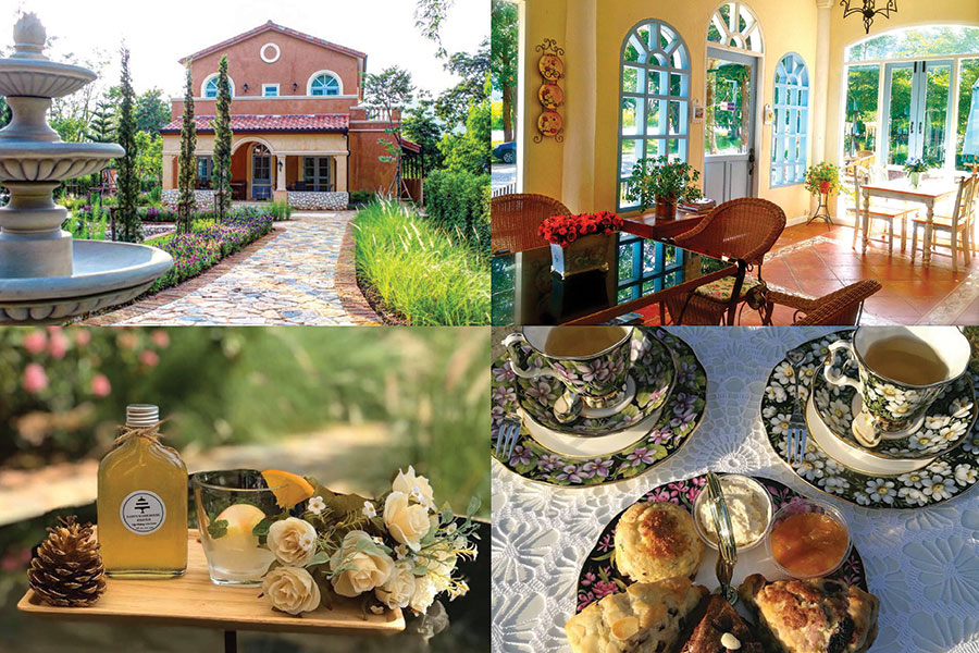 30 คาเฟ่เขาใหญ่ - วังน้ำเขียว - ปากช่องต้องแวะเช็คอิน!