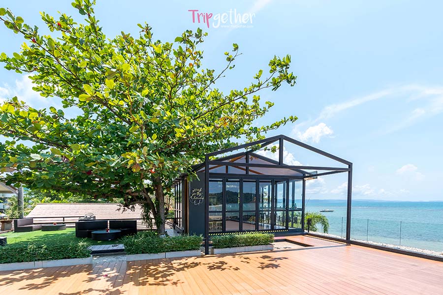 Head_in_the_clouds-17