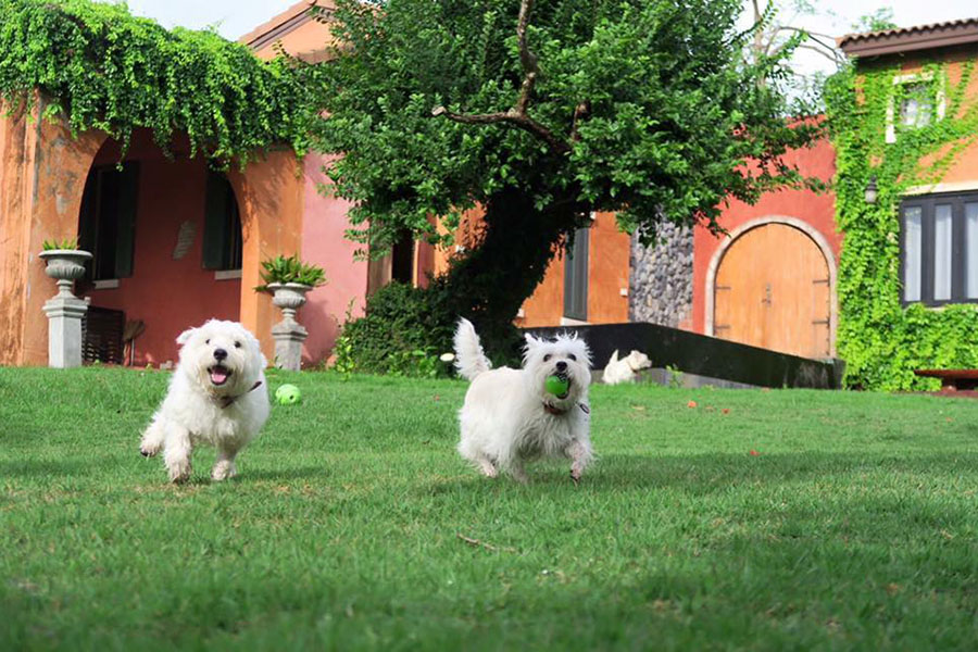 Her Glory Vacation Villa01