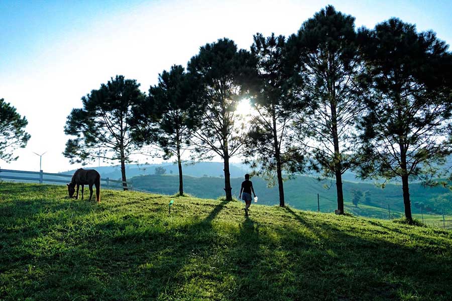 Khaokohboutiquecamps_1