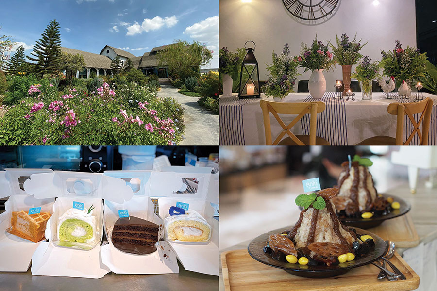 30 คาเฟ่เขาใหญ่ - วังน้ำเขียว - ปากช่องต้องแวะเช็คอิน!