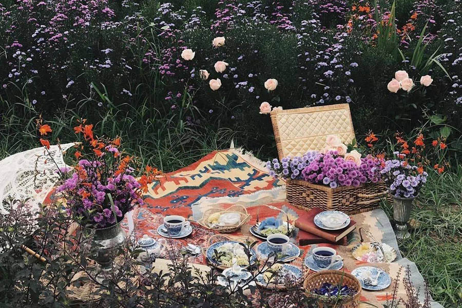 5 ทุ่งดอกไม้ในเชียงใหม่ หนาวนี้ต้องแวะแชะรูปอัพโปรไฟล์ ให้โลกสดใสด้วยดอกไม้บาน