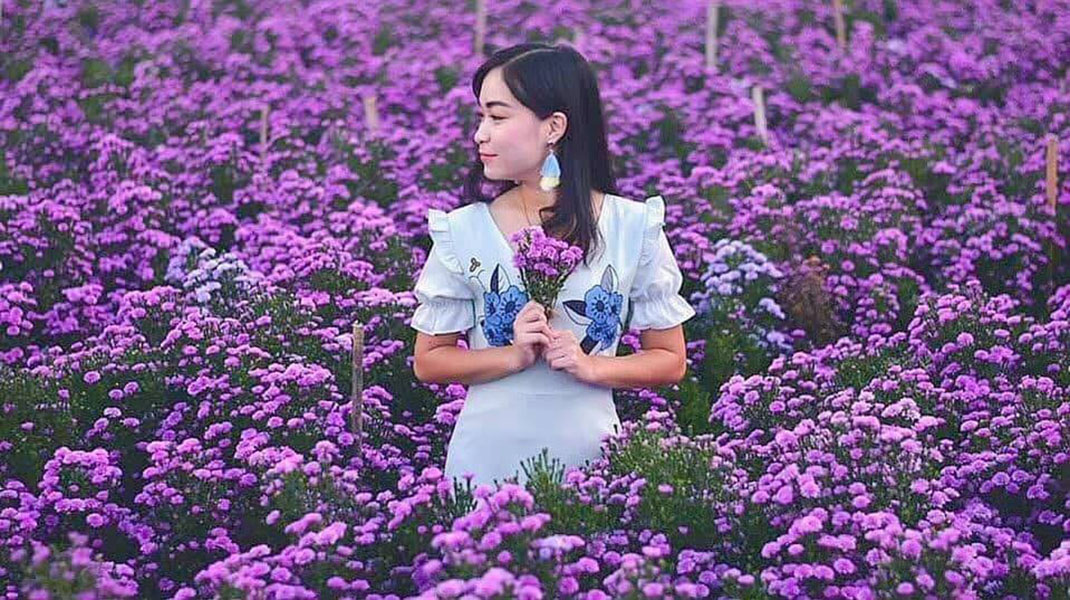 5 ทุ่งดอกไม้ในเชียงใหม่ หนาวนี้ต้องแวะแชะรูปอัพโปรไฟล์ ให้โลกสดใสด้วยดอกไม้บาน