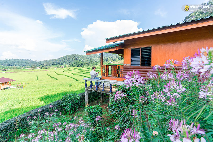 10 ที่พักเชียงใหม่ใกล้ขุนเขา นอนฟินชุ่มฉ่ำในหน้าฝน