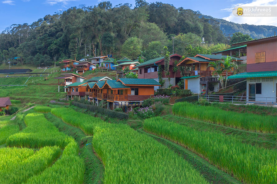 10 ที่พักเชียงใหม่ใกล้ขุนเขา นอนฟินชุ่มฉ่ำในหน้าฝน