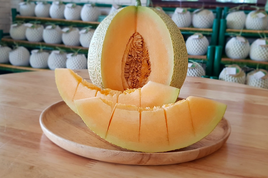 Melon_1