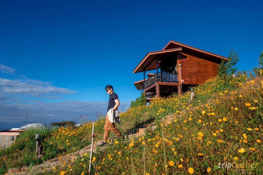 13 ที่พักม่อนแจ่ม อัปเดตปลายปี 2020