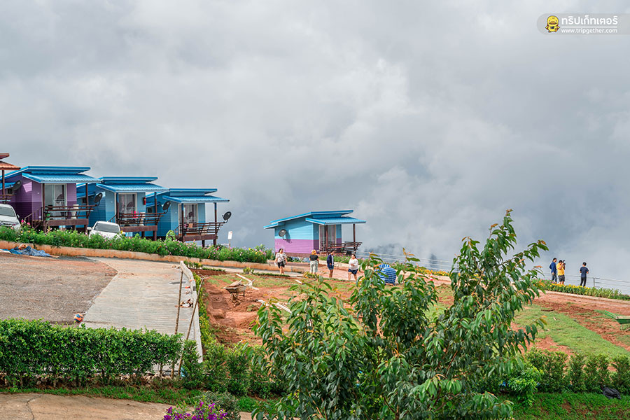 20 ที่พักเขาค้อ ภูทับเบิก หนาวนี้นอนไหนดีที่เพชรบูรณ์ 