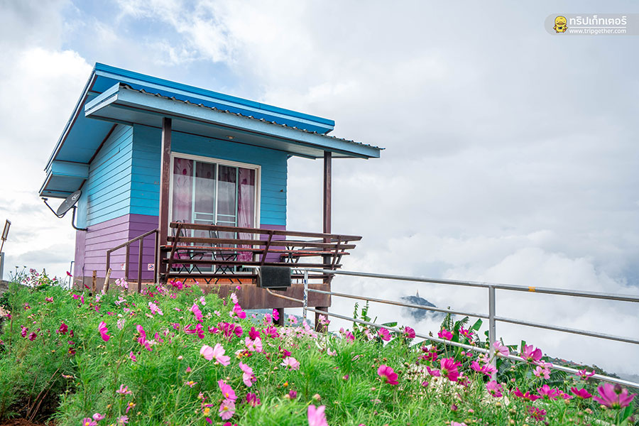 20 ที่พักเขาค้อ ภูทับเบิก หนาวนี้นอนไหนดีที่เพชรบูรณ์ 