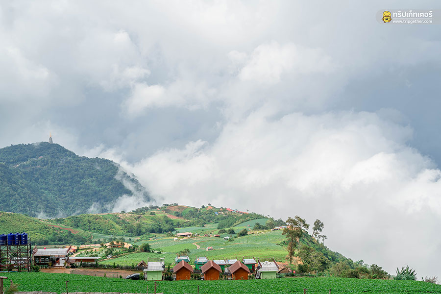 20 ที่พักเขาค้อ ภูทับเบิก หนาวนี้นอนไหนดีที่เพชรบูรณ์ 