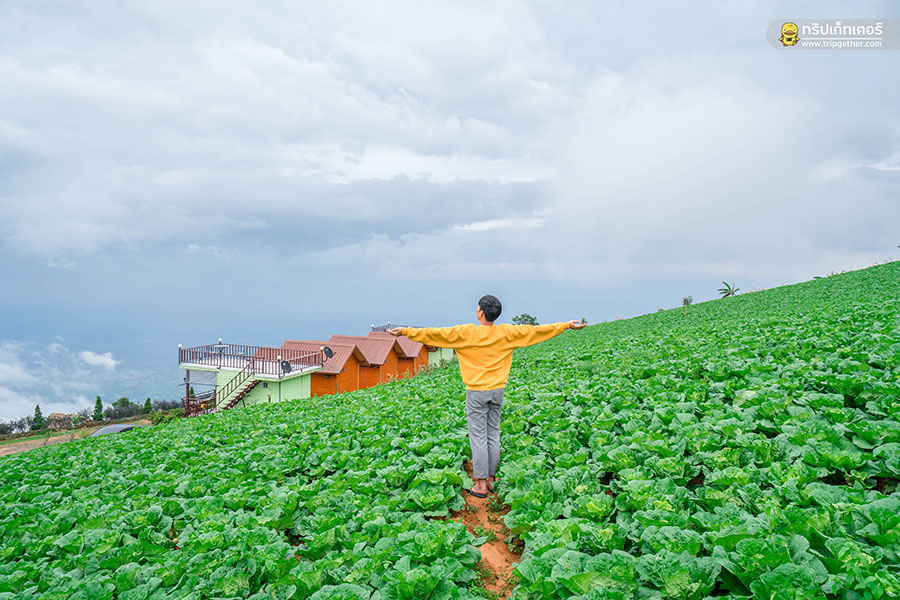 20 ที่พักเขาค้อ ภูทับเบิก หนาวนี้นอนไหนดีที่เพชรบูรณ์ 