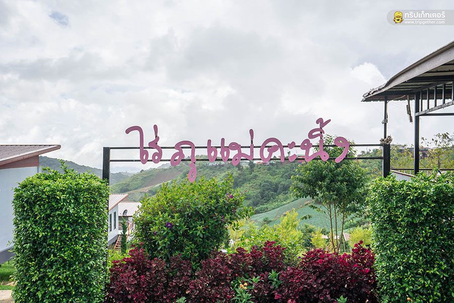 20 ที่พักเขาค้อ ภูทับเบิก หนาวนี้นอนไหนดีที่เพชรบูรณ์ 