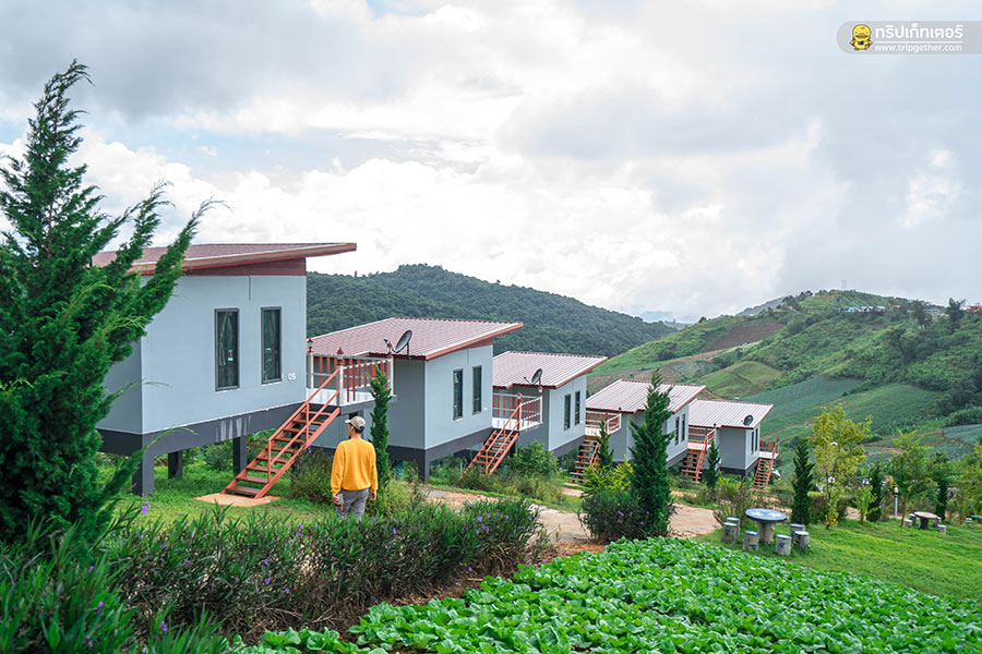 20 ที่พักเขาค้อ ภูทับเบิก หนาวนี้นอนไหนดีที่เพชรบูรณ์ 