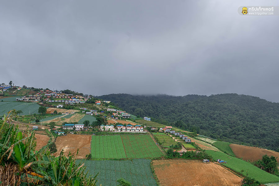 20 ที่พักเขาค้อ ภูทับเบิก หนาวนี้นอนไหนดีที่เพชรบูรณ์ 