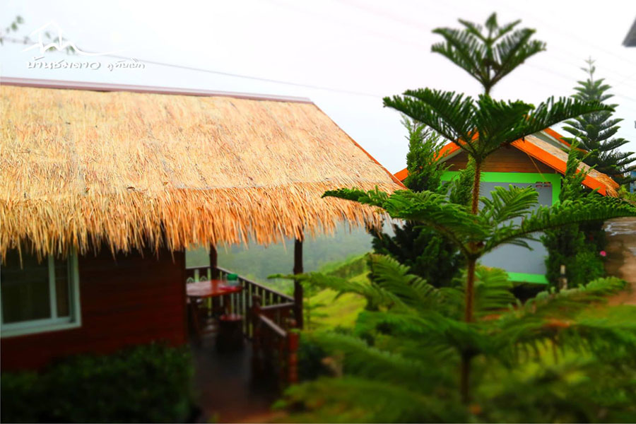 20 ที่พักเขาค้อ ภูทับเบิก หนาวนี้นอนไหนดีที่เพชรบูรณ์ 